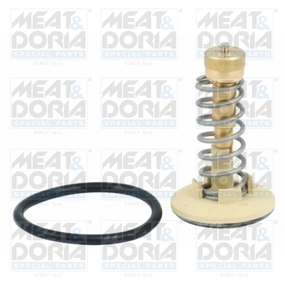 Thermostat, coolant